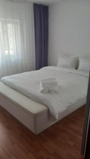 Apartament Brasov